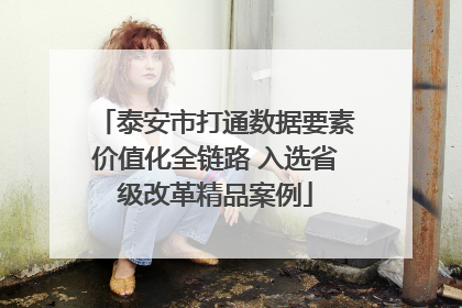 泰安市打通数据要素价值化全链路 入选省级改革精品案例