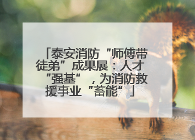 泰安消防“师傅带徒弟”成果展：人才“强基”，为消防救援事业“蓄能”