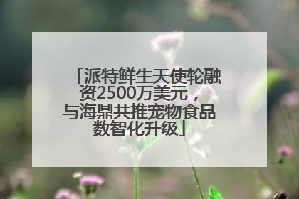 派特鲜生天使轮融资2500万美元，与海鼎共推宠物食品数智化升级