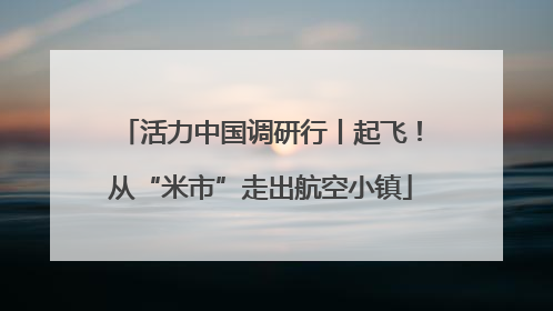 活力中国调研行丨起飞！从“米市”走出航空小镇