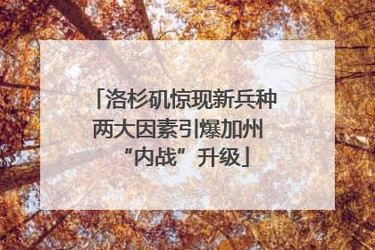 洛杉矶惊现新兵种 两大因素引爆加州“内战”升级