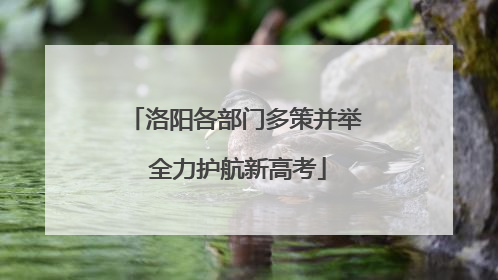洛阳各部门多策并举 全力护航新高考