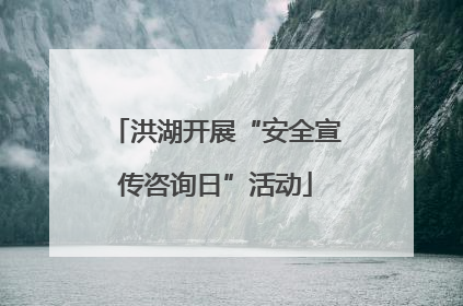 洪湖开展“安全宣传咨询日”活动
