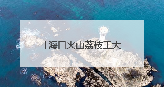 海口火山荔枝王大比拼 单颗拍卖出6.8万元高价