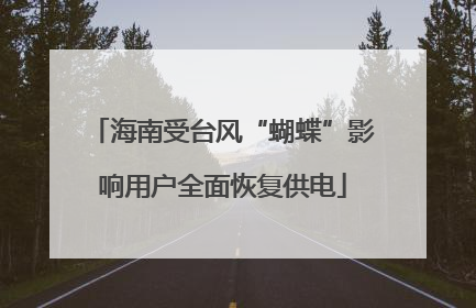 海南受台风“蝴蝶”影响用户全面恢复供电