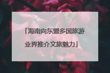 海南向东盟多国旅游业界推介文旅魅力