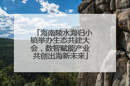 海南陵水海归小镇举办生态共建大会，数智赋能产业共创出海新未来