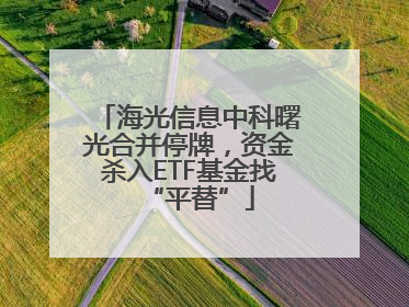 海光信息中科曙光合并停牌，资金杀入ETF基金找“平替”