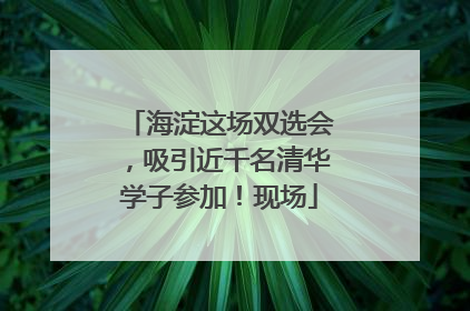 海淀这场双选会，吸引近千名清华学子参加！现场