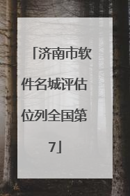济南市软件名城评估位列全国第7