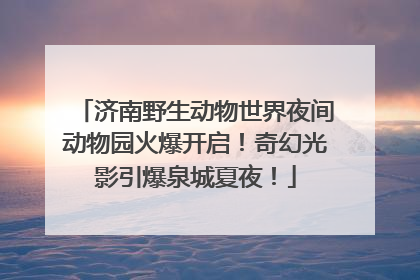 济南野生动物世界夜间动物园火爆开启！奇幻光影引爆泉城夏夜！