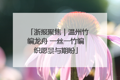 浙报聚焦｜温州竹编龙舟 一丝一竹编织愿景与期盼