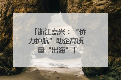 浙江嘉兴：“侨力护航”助企高质量“出海”