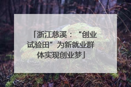 浙江慈溪：“创业试验田”为新就业群体实现创业梦