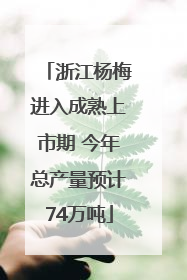 浙江杨梅进入成熟上市期 今年总产量预计74万吨