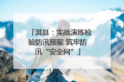 淇县：实战演练检验防汛预案 筑牢防汛“安全网”