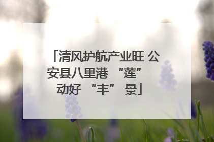 清风护航产业旺 公安县八里港 “莲” 动好 “丰” 景