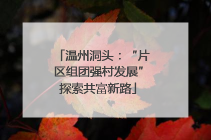 温州洞头：“片区组团强村发展”探索共富新路