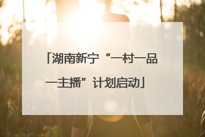 湖南新宁“一村一品一主播”计划启动