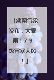湖南气象发布：大暴雨！7-9级雷暴大风！