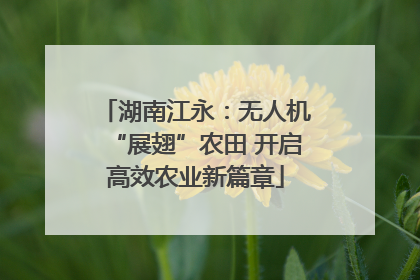 湖南江永：无人机“展翅”农田 开启高效农业新篇章