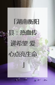 湖南衡阳县：热血传递希望 爱心点亮生命