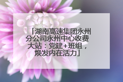 湖南高速集团永州分公司永州中心收费大站：党建+班组，焕发内在活力
