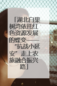 湖北白果树湾依托红色资源发展的蝶变——“抗战小延安”走上农旅融合振兴路