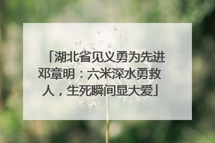湖北省见义勇为先进邓章明：六米深水勇救人，生死瞬间显大爱