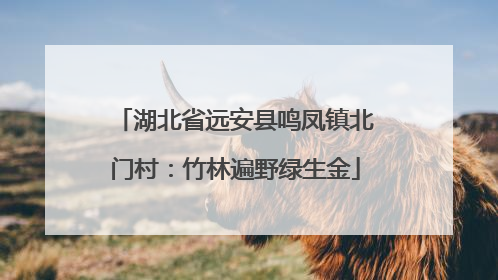 湖北省远安县鸣凤镇北门村：竹林遍野绿生金