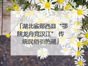 湖北省郧西县“鄂陕龙舟竞汉江” 传统民俗引热潮
