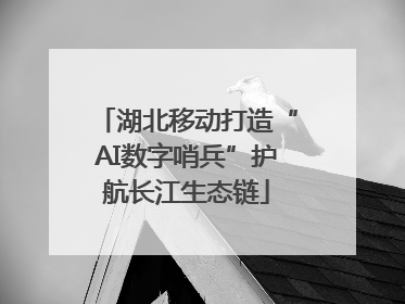 湖北移动打造“AI数字哨兵”护航长江生态链