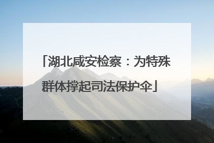 湖北咸安检察：为特殊群体撑起司法保护伞