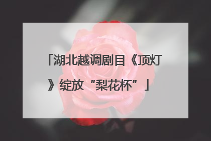 湖北越调剧目《顶灯》绽放“梨花杯”