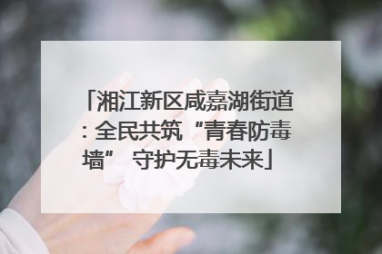 湘江新区咸嘉湖街道：全民共筑“青春防毒墙” 守护无毒未来