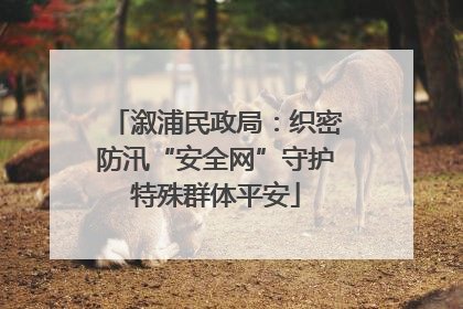 溆浦民政局：织密防汛“安全网”守护特殊群体平安