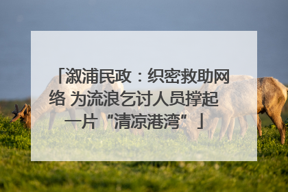 溆浦民政：织密救助网络 为流浪乞讨人员撑起一片“清凉港湾”