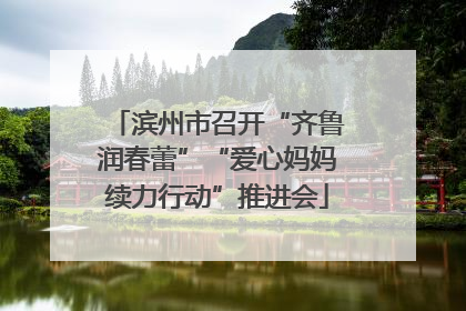 滨州市召开“齐鲁润春蕾”“爱心妈妈续力行动”推进会