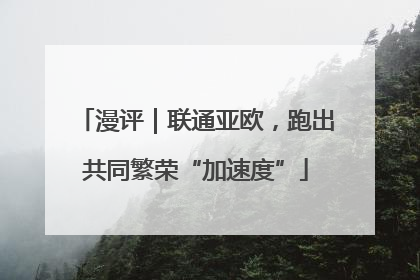 漫评｜联通亚欧，跑出共同繁荣“加速度”
