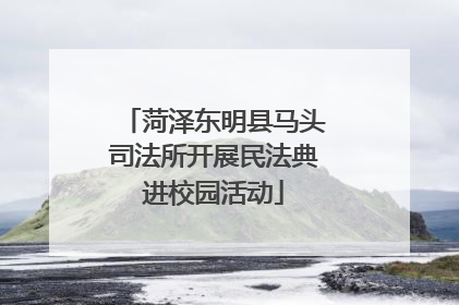 菏泽东明县马头司法所开展民法典进校园活动