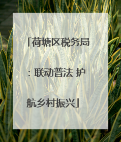 荷塘区税务局：联动普法 护航乡村振兴