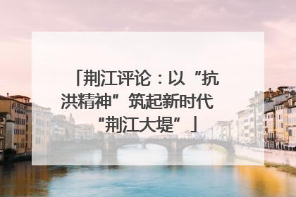 荆江评论：以“抗洪精神”筑起新时代“荆江大堤”