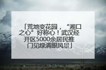 荒地变花园，“湘口之心”好称心！武汉经开区5000余居民推门见绿满眼风景