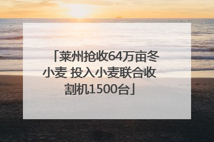 莱州抢收64万亩冬小麦 投入小麦联合收割机1500台