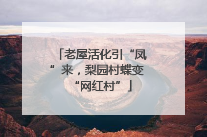 老屋活化引“凤”来，梨园村蝶变“网红村”