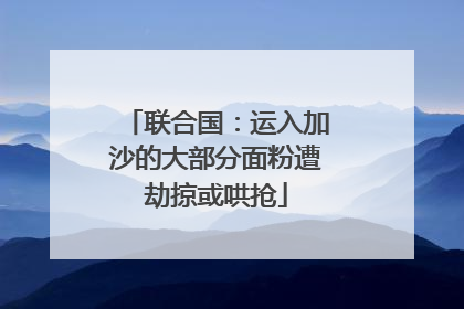 联合国：运入加沙的大部分面粉遭劫掠或哄抢