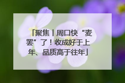 聚焦丨周口快“麦罢”了！收成好于上年、品质高于往年