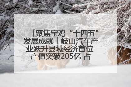 聚焦宝鸡“十四五”发展成就丨岐山汽车产业跃升县域经济首位 产值突破205亿 占规上工业75%