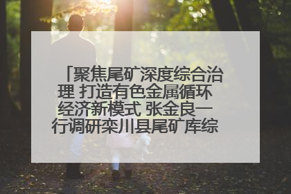 聚焦尾矿深度综合治理 打造有色金属循环经济新模式 张金良一行调研栾川县尾矿库综合治理工作