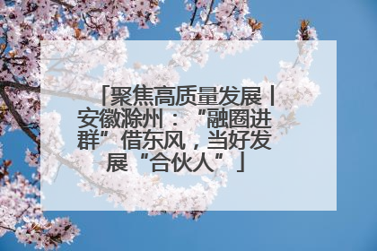 聚焦高质量发展丨安徽滁州：“融圈进群”借东风，当好发展“合伙人”